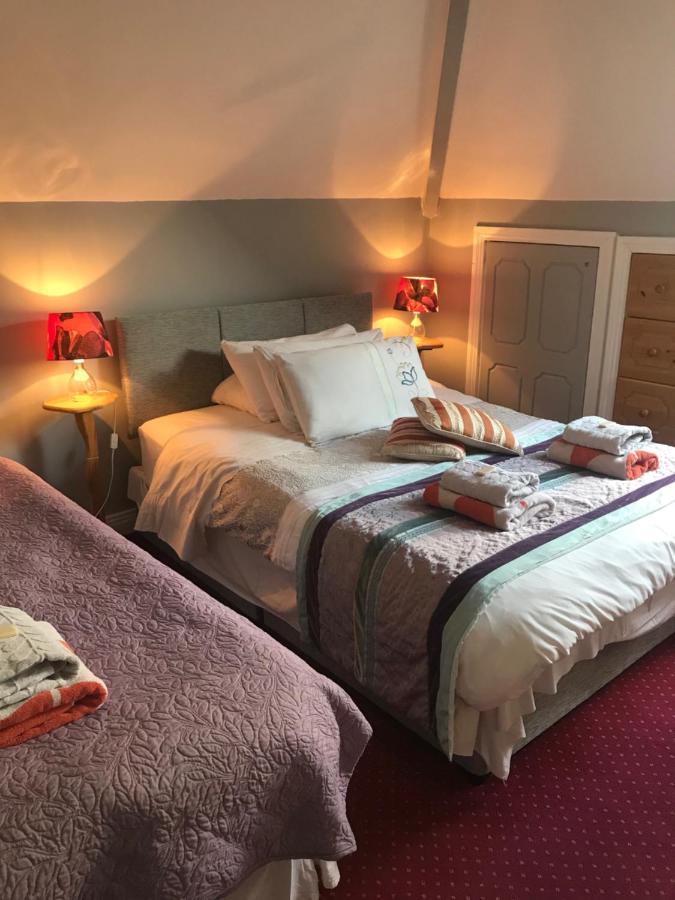 Aurora House Bed And Breakfast Athy Exterior photo
