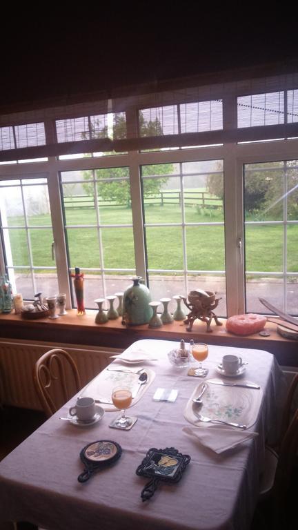 Aurora House Bed And Breakfast Athy Exterior photo